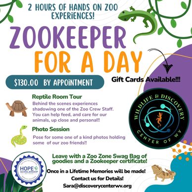 Join the Zookeeper for a Day experience with hands-on animal care and photo sessions.
