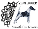 Zenterrier Smooth Fox Terriers