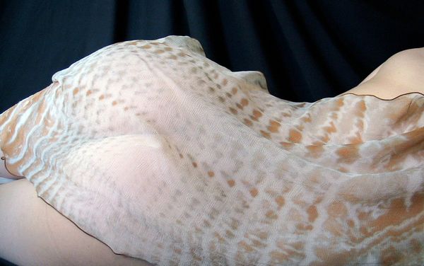 A sheer silk scarf draped over a woman with a pattern that looks like reptile skin.