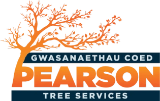 Gwasanaethau coed                Pearson & Co ltd Tree services