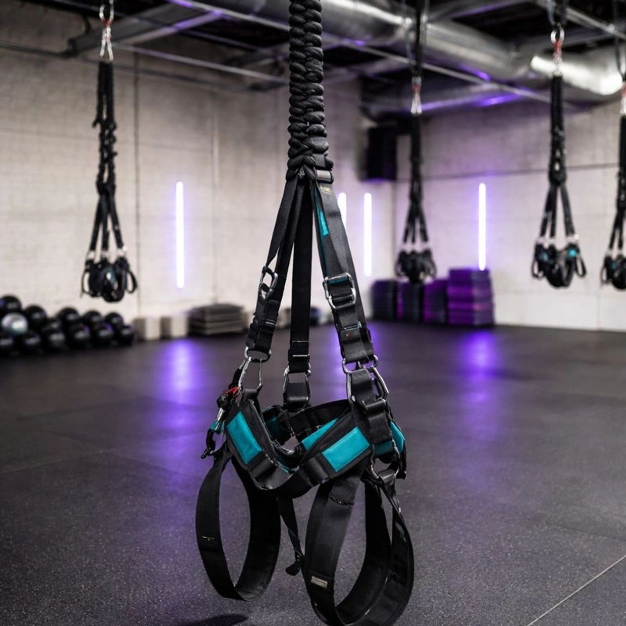 Suspension harnesses hanging in a modern gym with purple lighting.