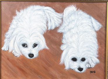 Two white fluffy dogs on a wooden floor.