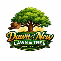 Dawn of New Lawn