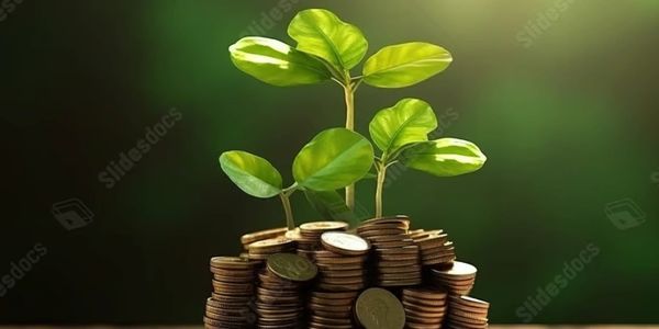 Green plant growing from stacks of coins symbolizing financial growth.