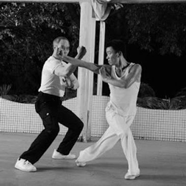 Arts Martiaux Rive Sud - Kung Fu Choy Lee Fut 