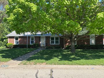 A suburban brick house with a large tree in front.
