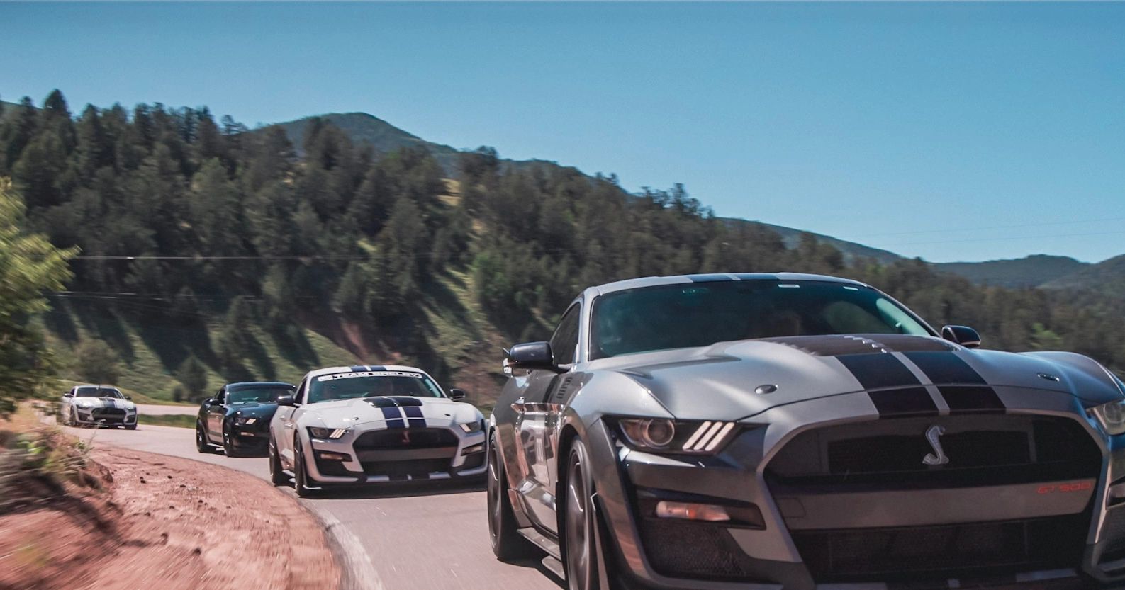 A convoy of Ford Mustang Shelby GT500 cars driving on a mountain road.