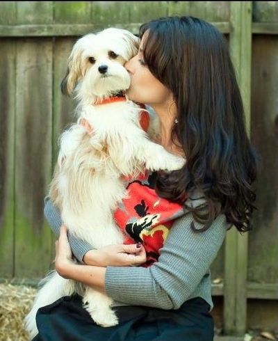 Testiminial Pet loss grief support and guidance. noapetlosssupport.com