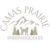 Camas Prairie Sheepadoodles