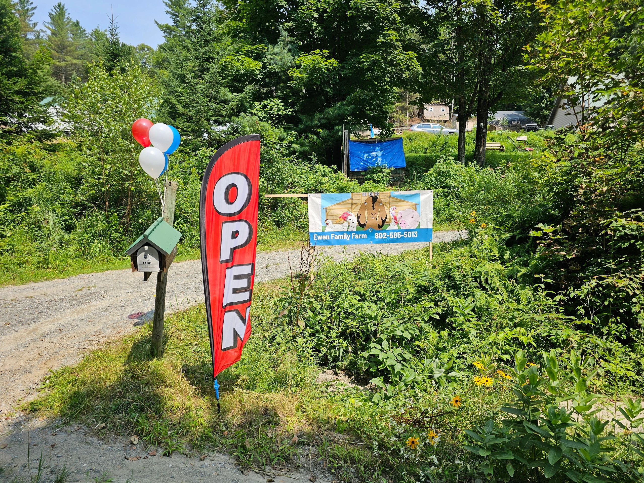 Ewen family farm