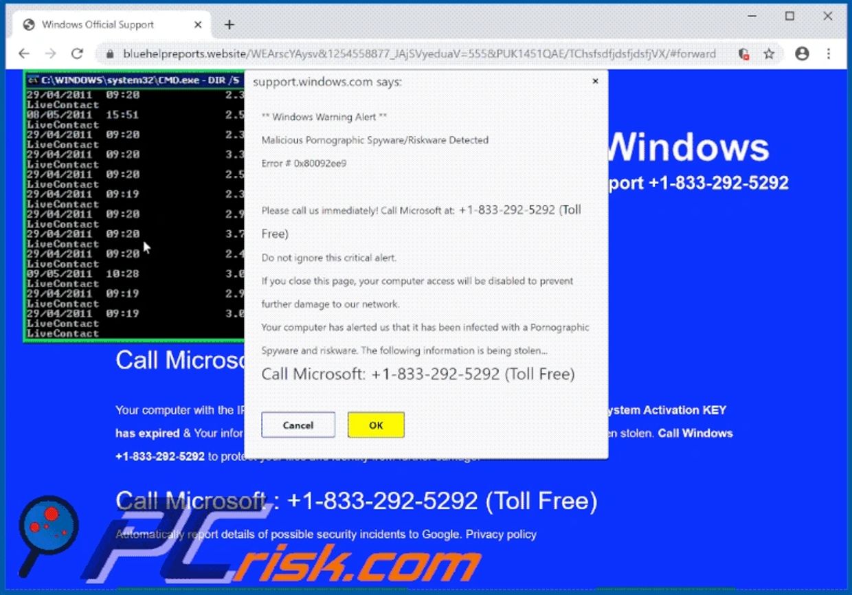 Fake Microsoft Support