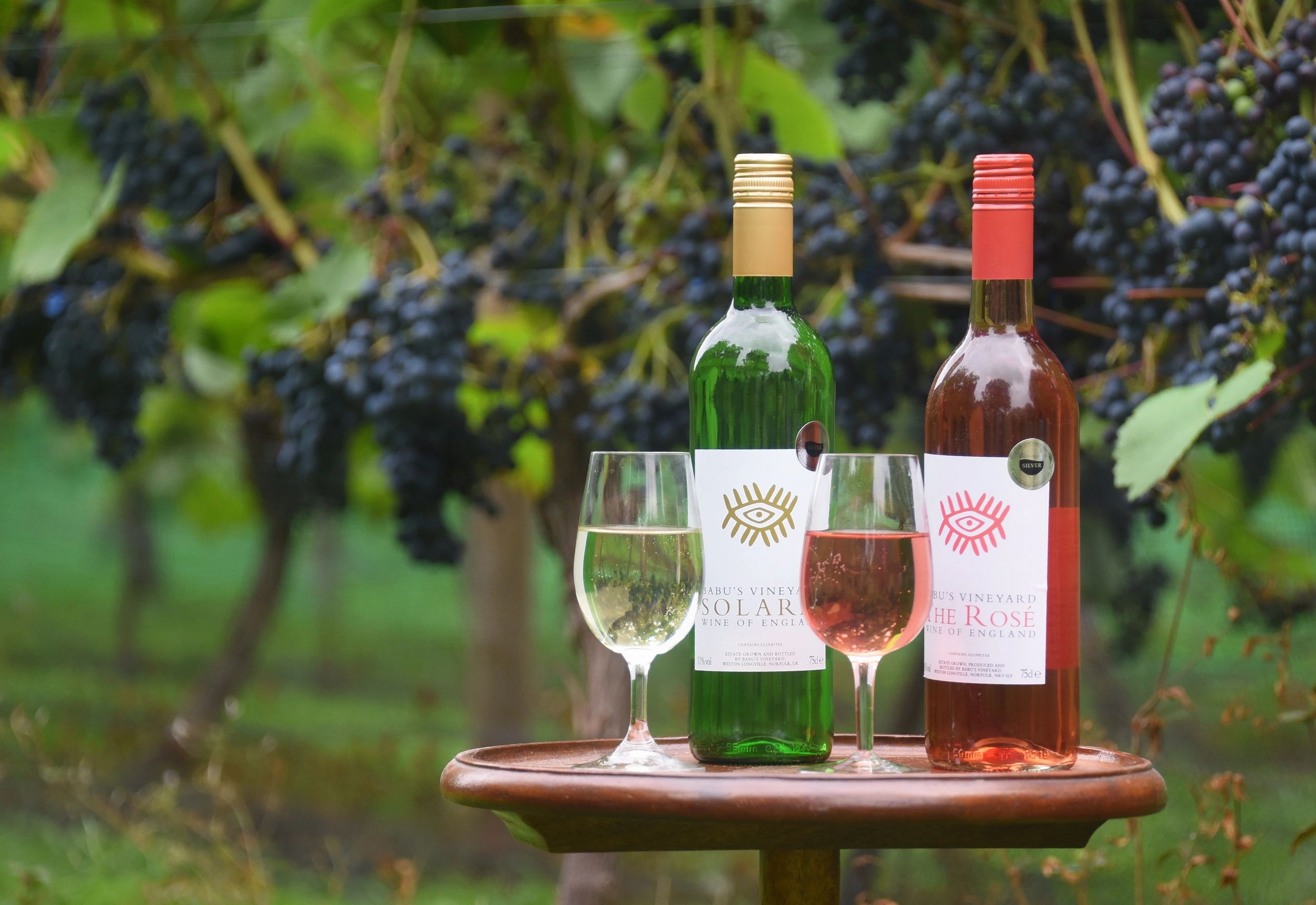 Hero image (Open Graph)