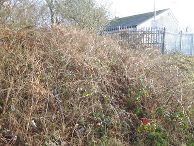 scrub clearance north devon 