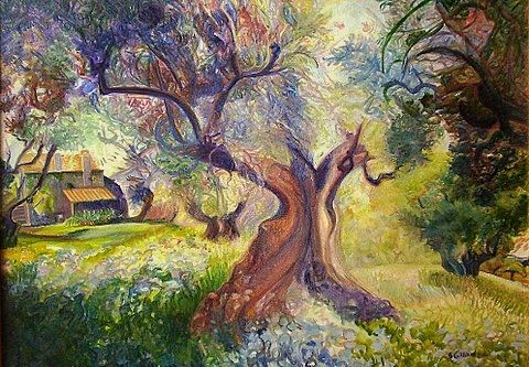 Renoir's Olive Tree by Suzanne Gilliard