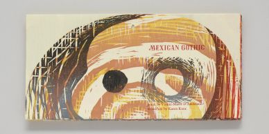 Book cover with abstract face and text.