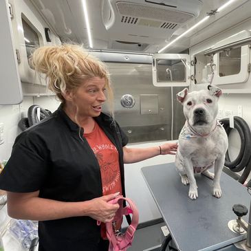 Photo of groomer Tanya