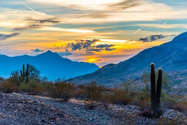 Sunset over a desert landscape with mountains and cacti.