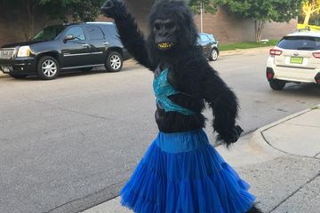 dancing gorilla singing telegram funny gag gift funny joke gift funny prank birthday gift surprise