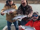  San Antonio’s Premier Fishing Guide On Canyon Lake. Fishing around San Antonio. Bass Fishing.