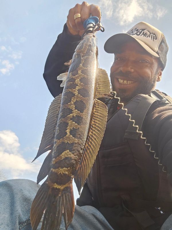 Smiling man holding a large patterned fish against a clear sky.