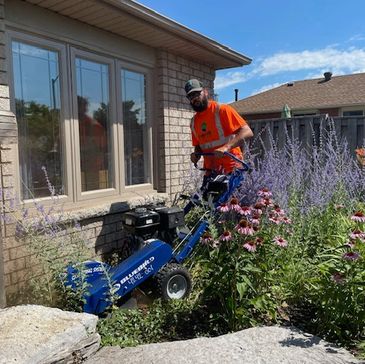 At Arbor Vale Tree Service we provide all your needs for tree care including stump grinding.