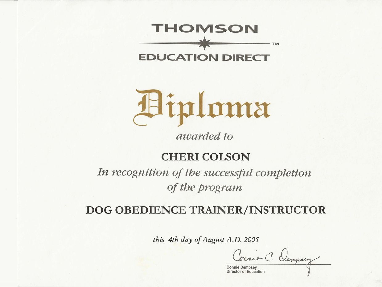 I have my diploma in Dog Obedience Training!