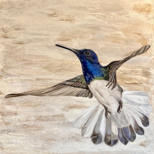 "Hummer Hover"
24 x 24 Venetian Plaster & Oil Paint on Canvas
