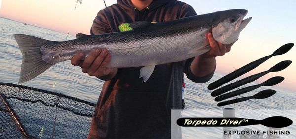 Torpedo Weighted Steel – Lake Michigan Angler A