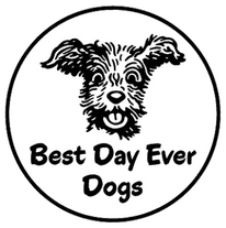 BEST DAY EVER DOGS
