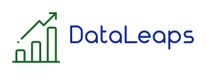 DATA LEAPS IT Solutions