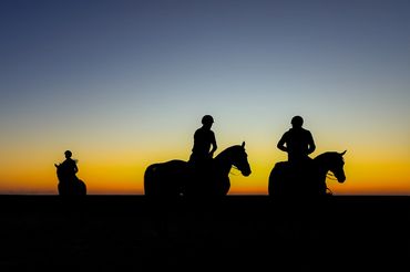 Colour landscape image of three riders on horseback silhouetted by an early morning sky. 