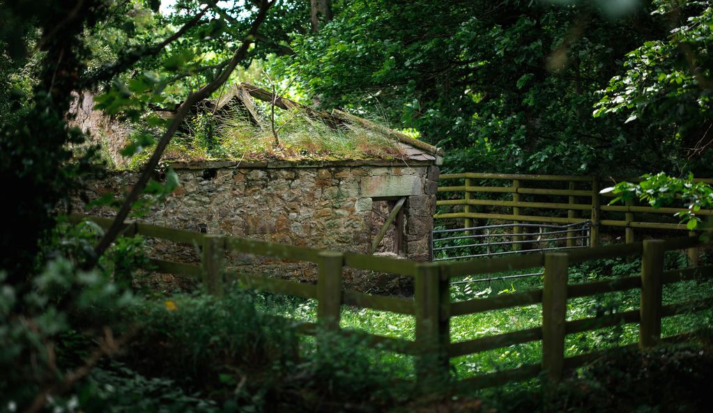 Colour image of an old stone barn and holding pen. 