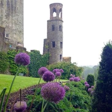 Tower at Blarney Castle, Cork