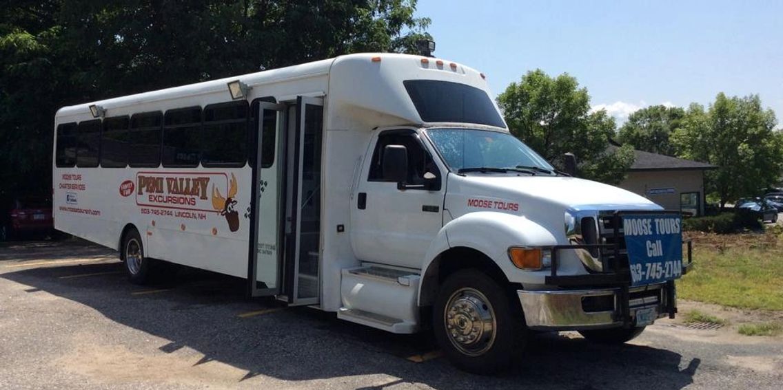 Pemi Valley Moose Tours - Moose Tours, Wildlife Tours