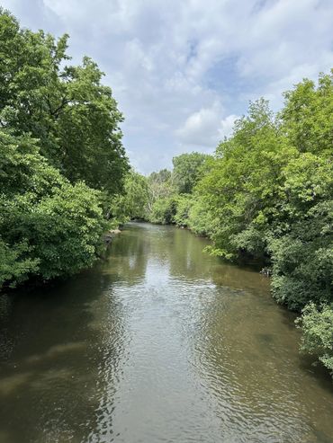 A calm river flowing through lush green trees under a cloudy sky.