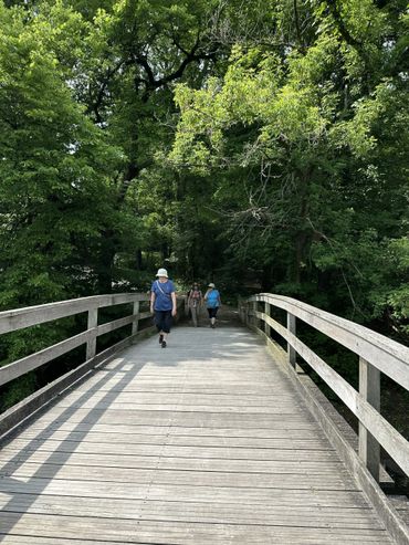 Three people walking on a wooden bridge surrounded by lush green trees.