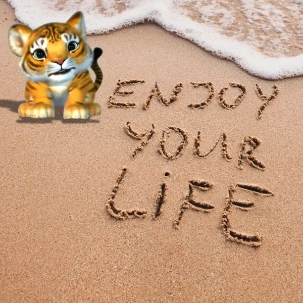 Enjoy your life written in the sand, watched on by Lewey
