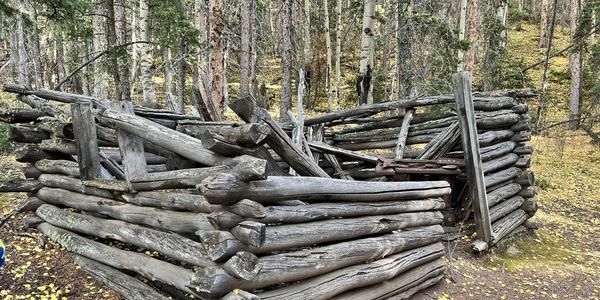 E-MTB Tour passes by Dynamite Cabin in Mueller State Park