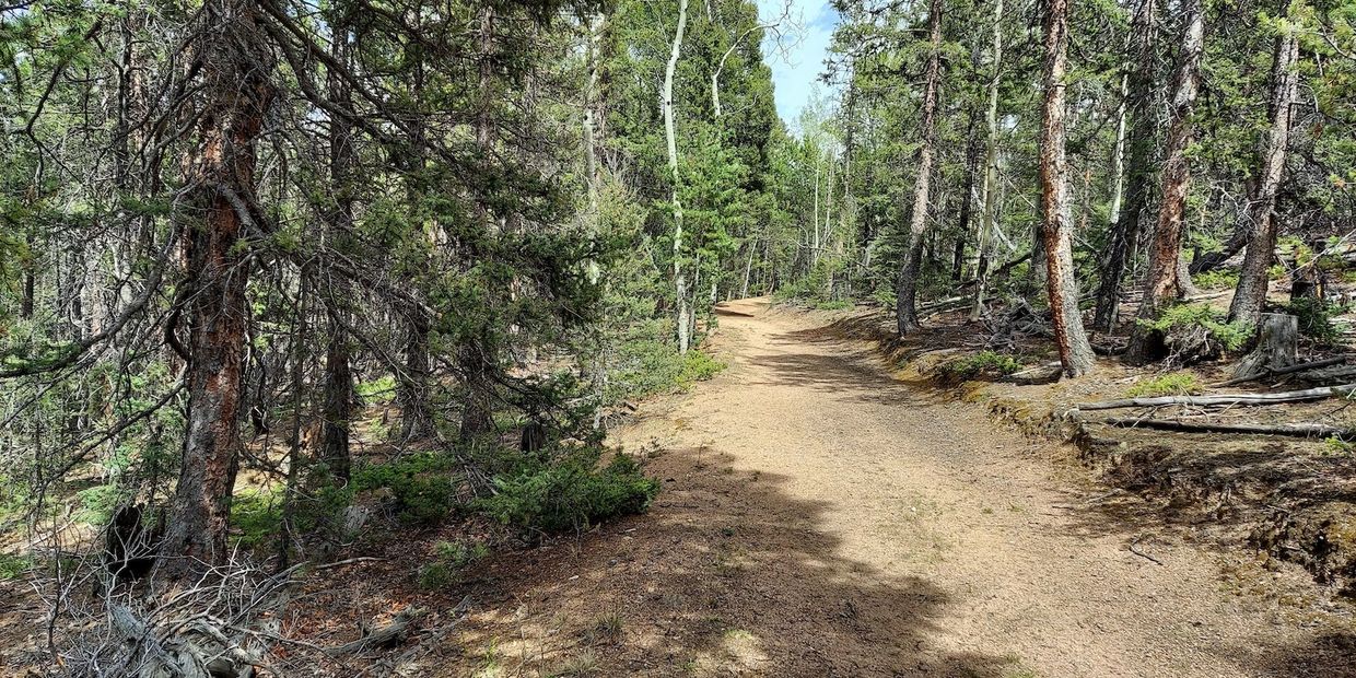 Take an E-MTB Tour at Mueller State Park near Colorado Springs, CO