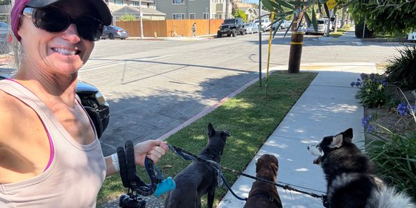 Walking a clients Woof Pack.  Family consists of 3-dogs and 2-cats that get a lot of care and love.