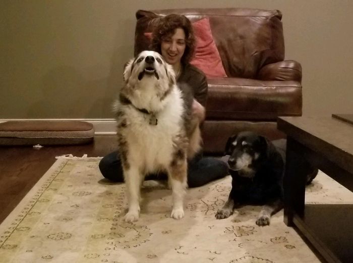 Small Animal Massage Therapist, Dog Massage, Canine Massage Therapy