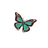 Transformative Change