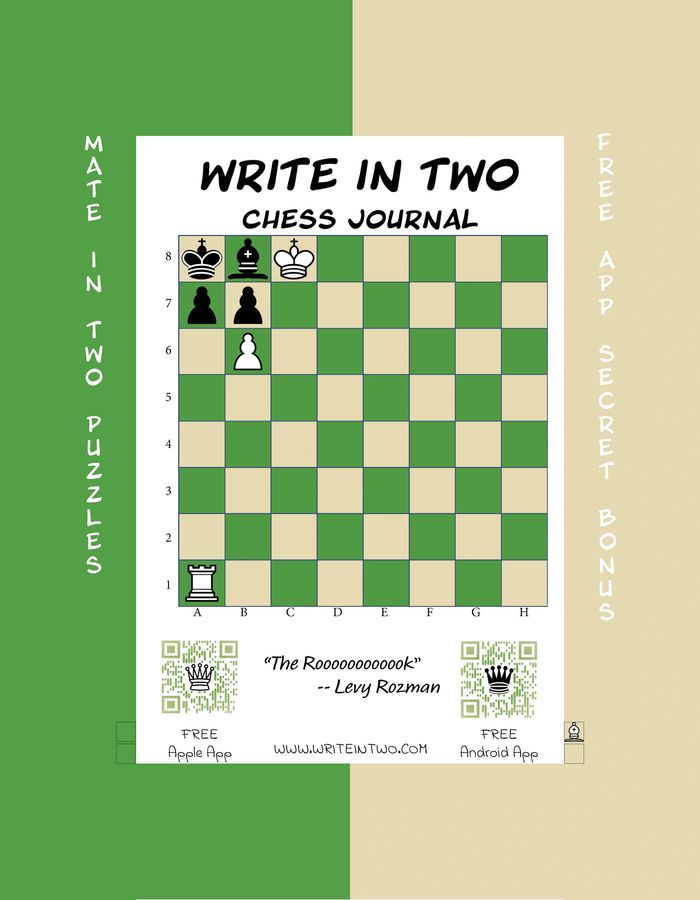 100 Mate in One Chess Puzzles, Inspired by Levy Rozman Games (Paperback)
