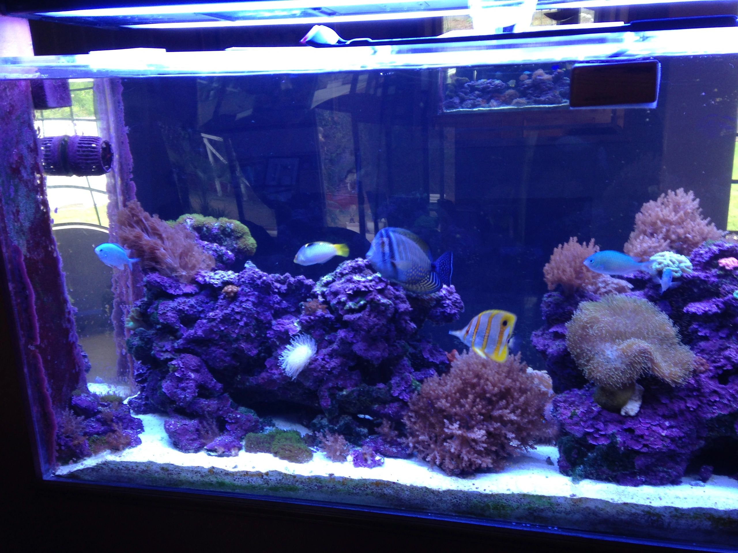 Fish Tank Tools Fish Tank Care, Fish Care Tools