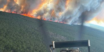 A forest fire spreading rapidly with smoke and flames visible.