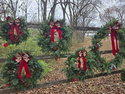 Christmas wreaths hanging on a wooden fence outdoors.