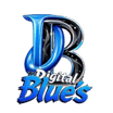 digitalbluesmarketing.com
