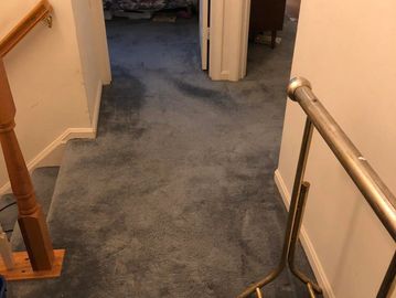 GK Cleaner: Carpet Cleaning