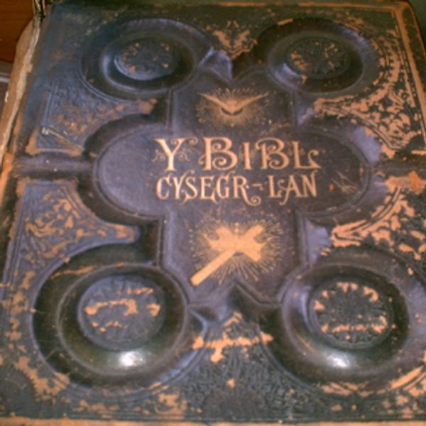 Welsh Bible
