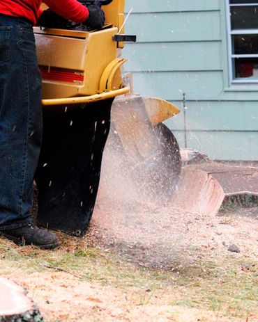 Everest Tree Care Ridgefield, CT
Everest Cutting
Everest Stump Grinding
Everest Tree Inspection